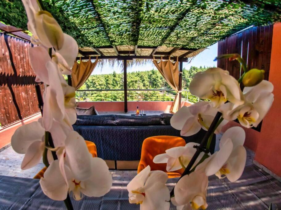 Deluxe Sani Relax Villa Ngoại thất bức ảnh